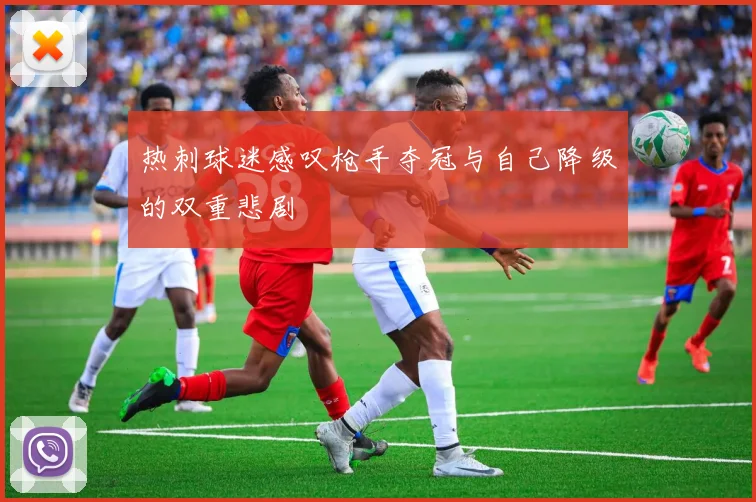 热刺球迷感叹枪手夺冠与自己降级的双重悲剧